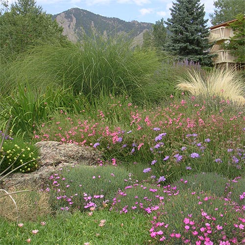 Boulder Residential Landscaping